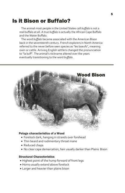 Bison Basics - Raising a North American Icon