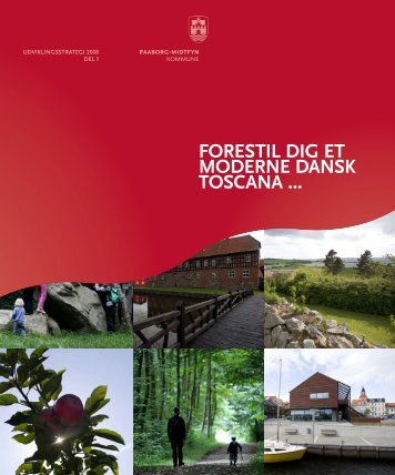 Udviklingsstrategi 2008 - Faaborg-Midtfyn kommune