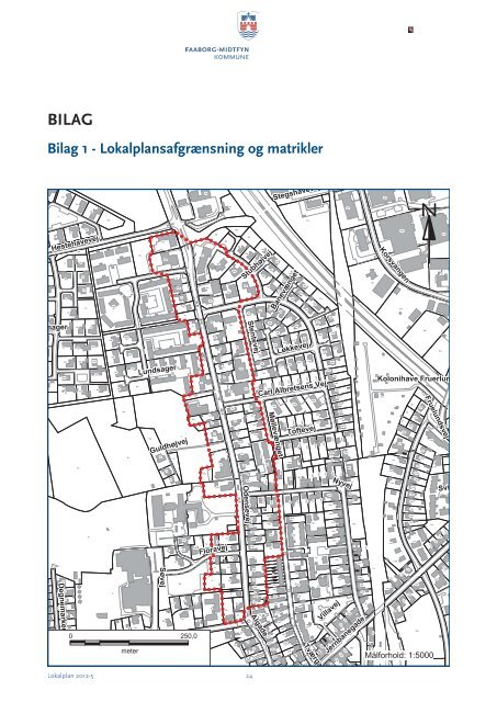 Lokalplan 2012-5 Bolig- og erhvervsområde Odensevej, Ringe