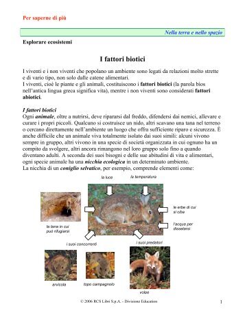 Esplorare ecosistemi - Fabbri Editori