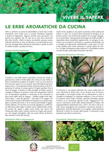 foglio informativo: erbe aromatiche da cucina