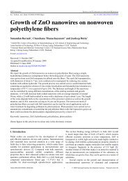 Growth of ZnO nanowires on nonwoven polyethylene fibers