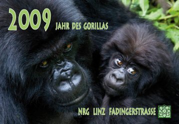 Nrg liNz fadiNgerstrasse Jahr des gorillas - Fadingerschule