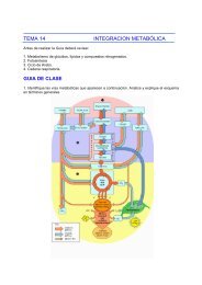 TEMA 14 INTEGRACION METABÓLICA