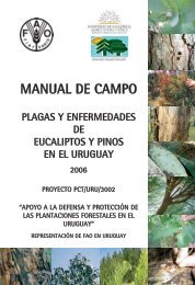 Manual de Campo FAO