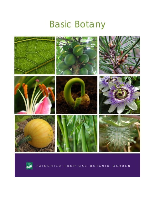 Basic Botany Handbook Fairchild Tropical Botanic Garden