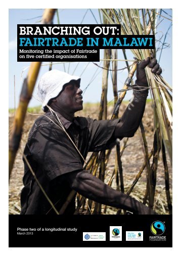 Branching out: Fairtrade in Malawi - The Fairtrade Foundation