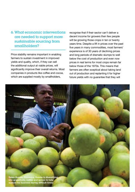 executive summary - The Fairtrade Foundation