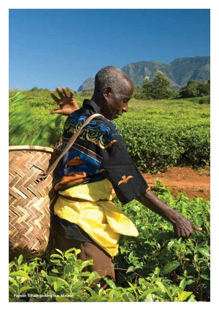 executive summary - The Fairtrade Foundation