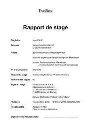 Rapport de stage - Falk, Ingo