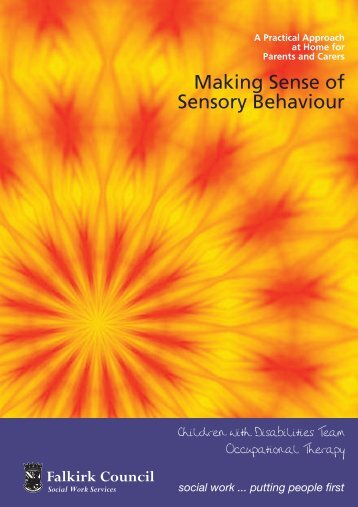 Making Sense of Sensory Behaviour