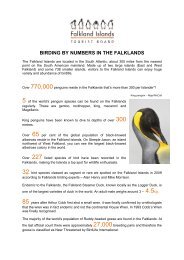 Download pdf 165Kb - Falkland Islands Tourist Board