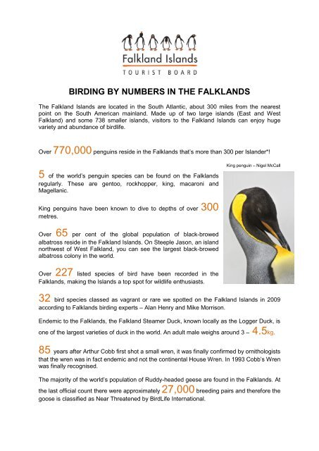 Download pdf 165Kb - Falkland Islands Tourist Board