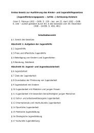 Jugendfoerderungsgesetz Schleswig-Holstein.pdf