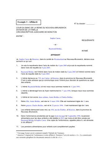 Exemple 3 : Affidavit - Droit de la famille NB