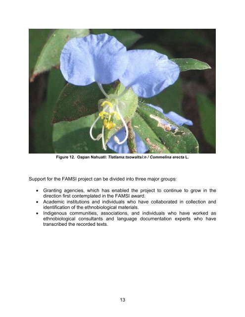 Nahuatl Cultural Encyclopedia: Botany and Zoology, Balsas ... - Famsi