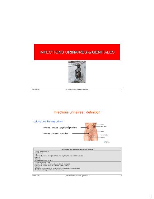 INFECTIONS URINAIRES & GENITALES