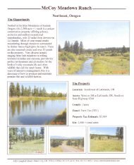 McCoy Meadows Ranch (Email Flyer).pdf - Farm & Ranch