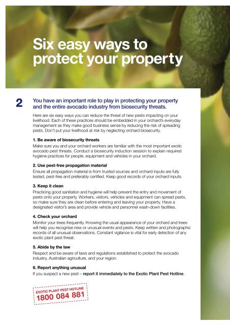Orchard Biosecurity Manual for the Avocado ... - Farm Biosecurity