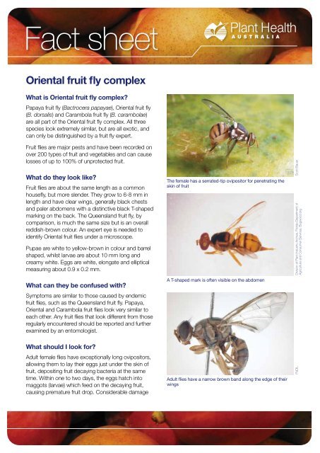 Orchard Biosecurity Manual for the Mango Industry - Farm Biosecurity