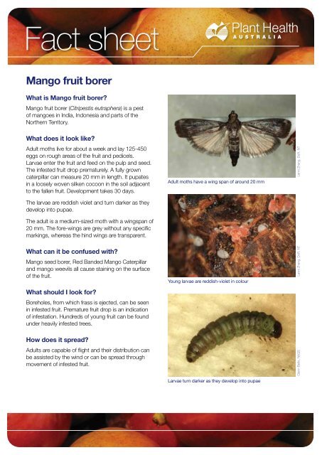 Orchard Biosecurity Manual for the Mango Industry - Farm Biosecurity