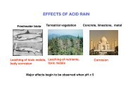 EFFECTS OF ACID RAIN