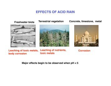 EFFECTS OF ACID RAIN