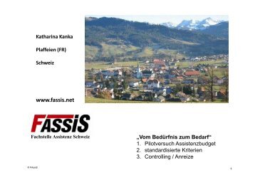 Methoden der Bedarfsabklärung - FAssiS - Fachstelle Assistenz ...