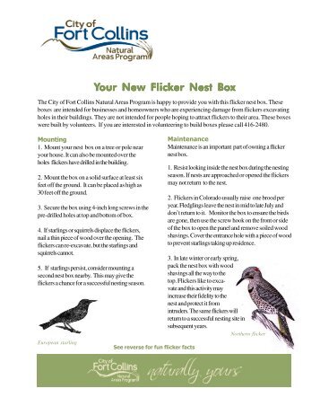 living with flickers.p65 - City of Fort Collins, CO