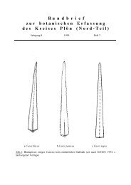 Rundbrief 1999, Heft 2 - Flora des Kreises Plön