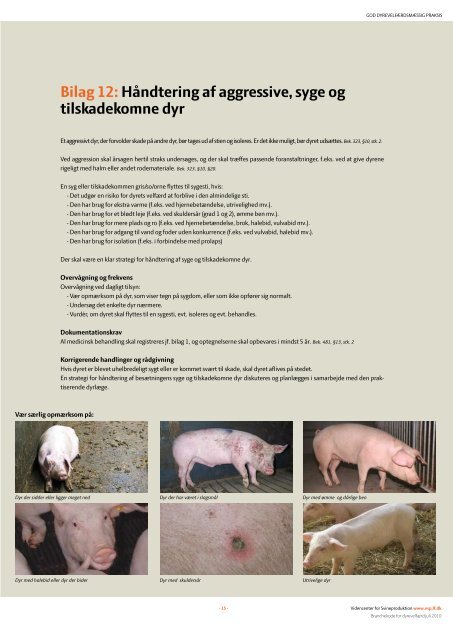 branchekoderne for svin - Fødevarestyrelsen