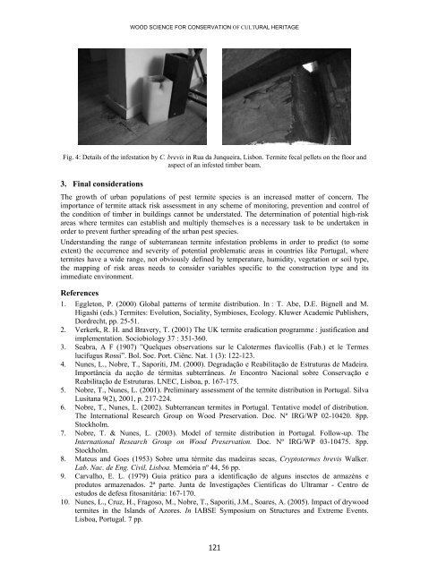 Proceedings e report - Firenze University Press