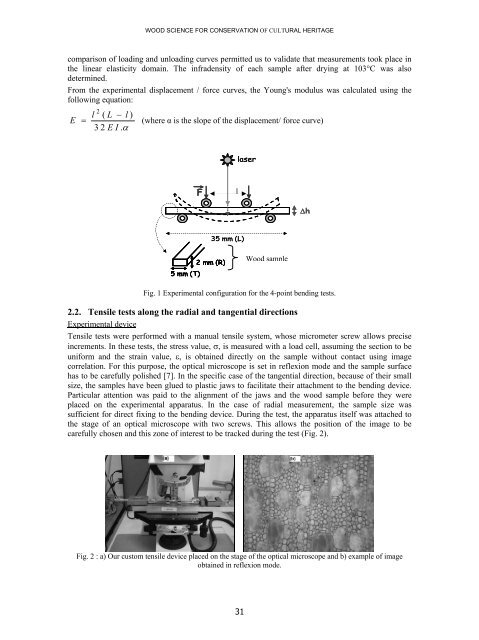 Proceedings e report - Firenze University Press