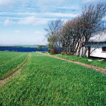 GEUS Årsberetning 1998, Sø og Land, relationer mellem ...