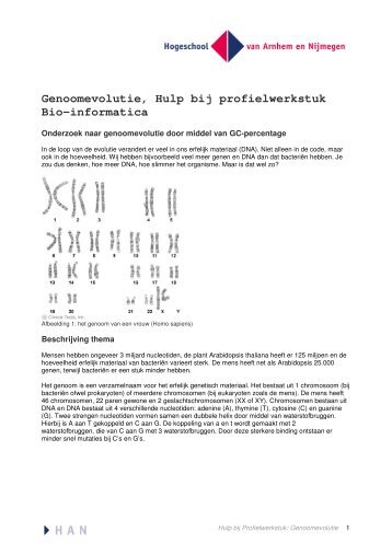 Genoomevolutie, Hulp bij profielwerkstuk Bio-informatica