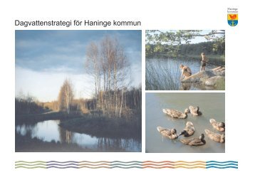 Dagvattenstrategi för Haninge kommun