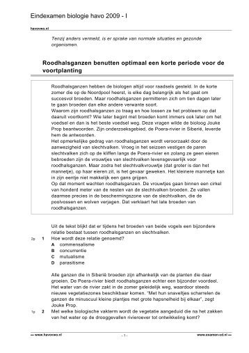 1 Roodhalsganzen benutten optimaal een korte - Havovwo.nl