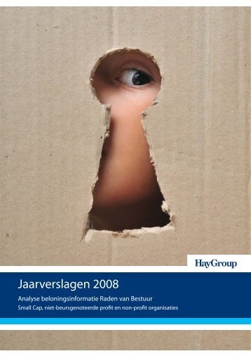 Analyse beloningsinformatie Raden van Bestuur 2008 - Hay Group