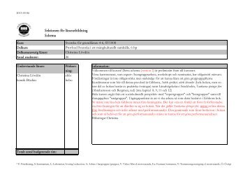 VT 13 schema SVEMS 4-6 version 2 (1)