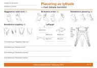 PDF-dokument - Hjälpmedelsinstitutet