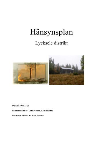 Lycksele - Holmen