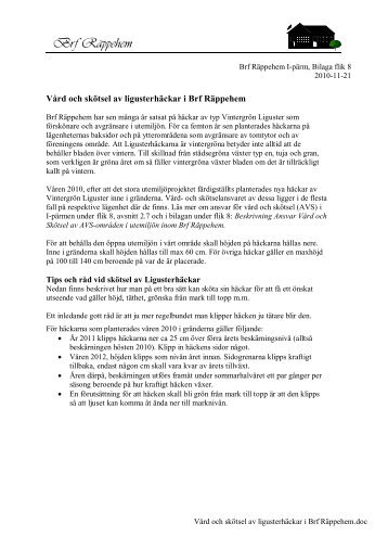 Vård och skötsel av ligusterhäckar i Brf Räppehem - HSB