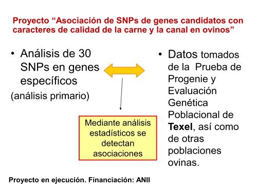 Marcadores moleculares asociados a la calidad de la canal y ... - Inia