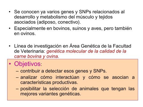 Marcadores moleculares asociados a la calidad de la canal y ... - Inia