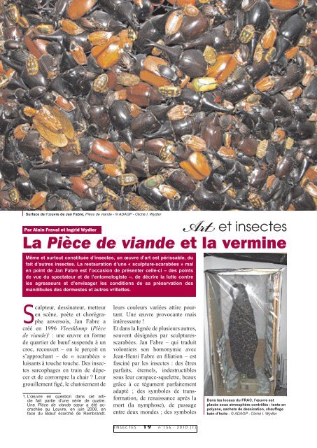 La Pièce de viande et la vermine : Insectes n° 156 - Inra