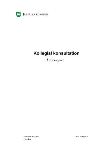 04 2 Kollegial konsultation - Årlig rapport.pdf