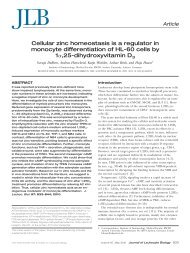 Cellular zinc homeostasis is a regulator in monocyte differentiation ...