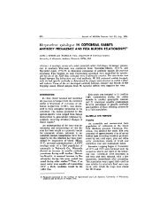 Herpesvirus sylvilagus - Journal of Wildlife Diseases