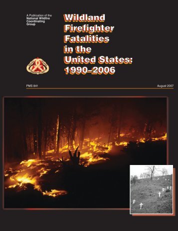 Wildland Firefighter Fatalities in the United States: 1990–2006