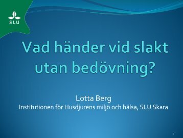 Lotta Berg